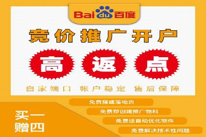 行业领先SEM服务公司案例研究